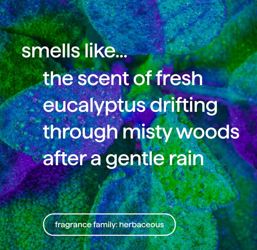 foaming hand wash - eucalyptus + rosemary. 10 fl oz
