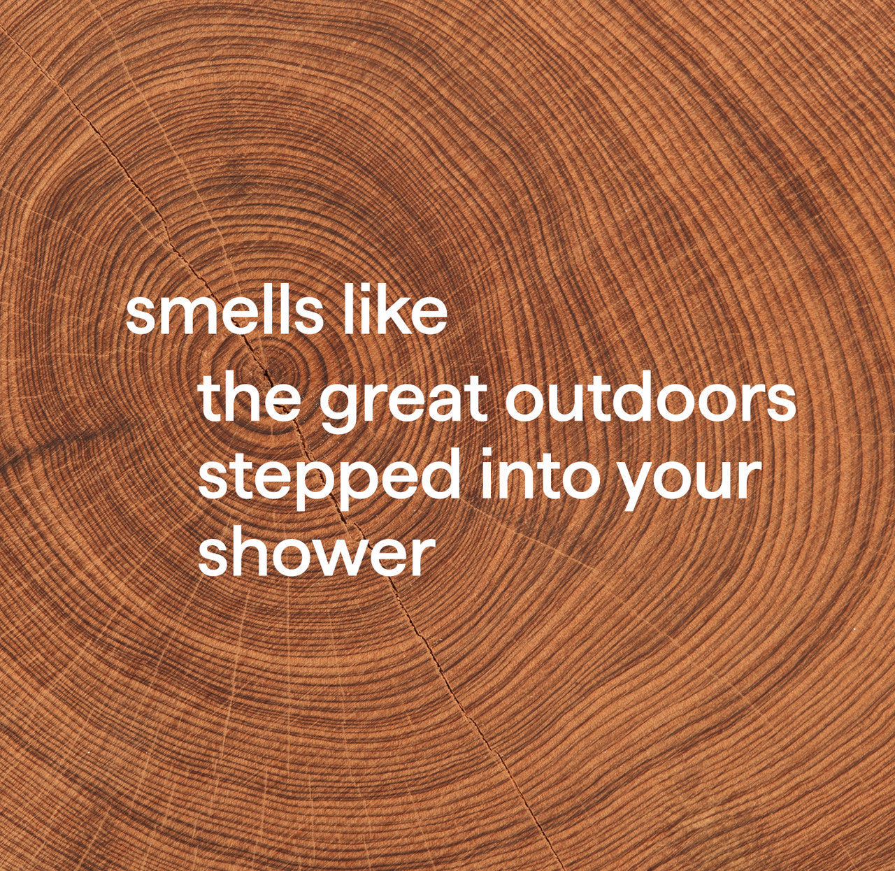 men bundle - cedar + cypress