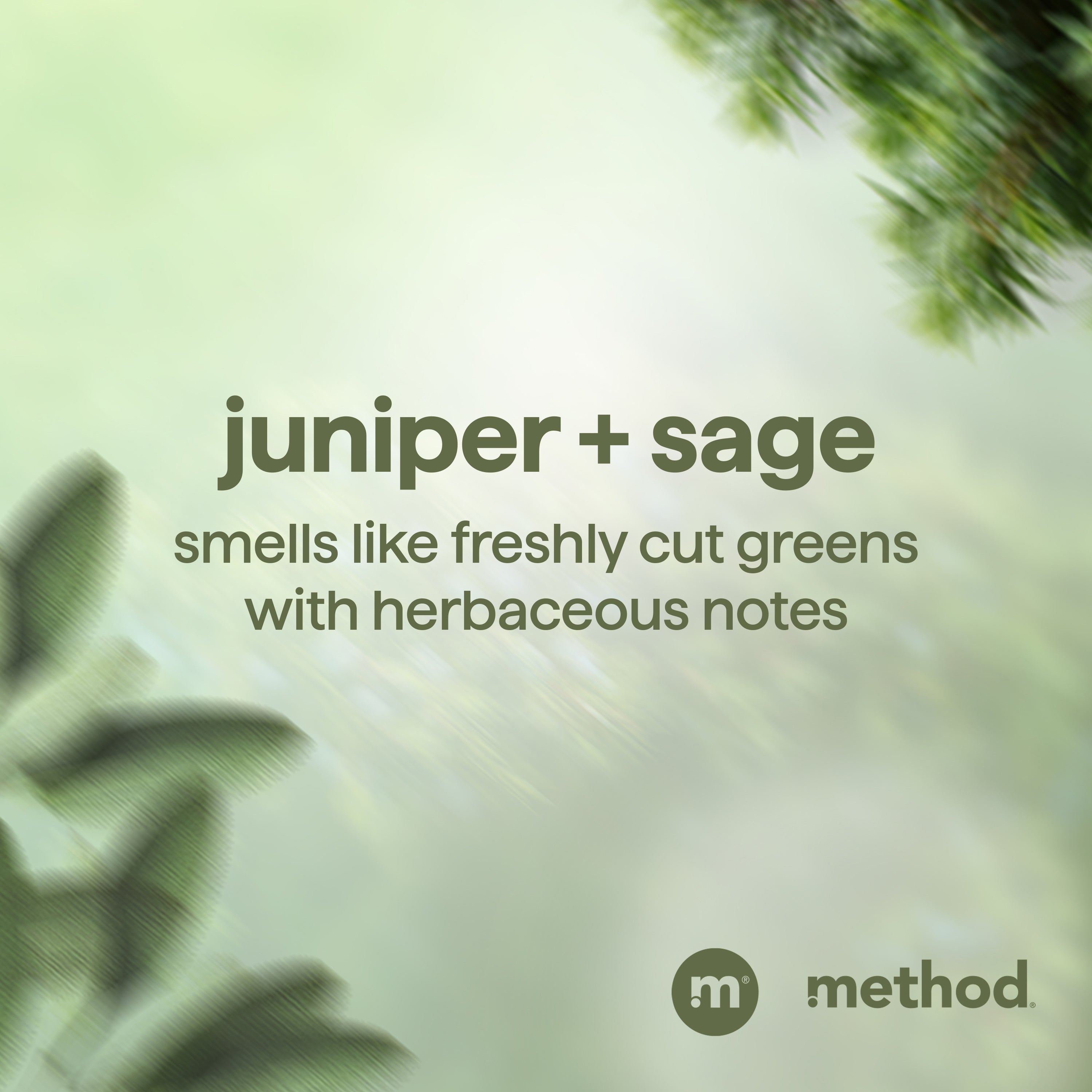 men body wash - juniper + sage. 18 fl oz