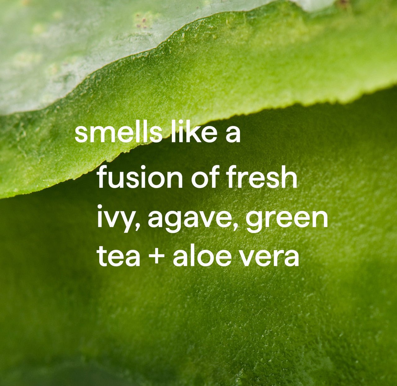 foaming hand wash - green tea + aloe. 10 fl oz