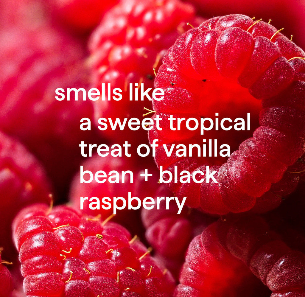 foaming hand wash - vanilla + raspberry. 10 fl oz