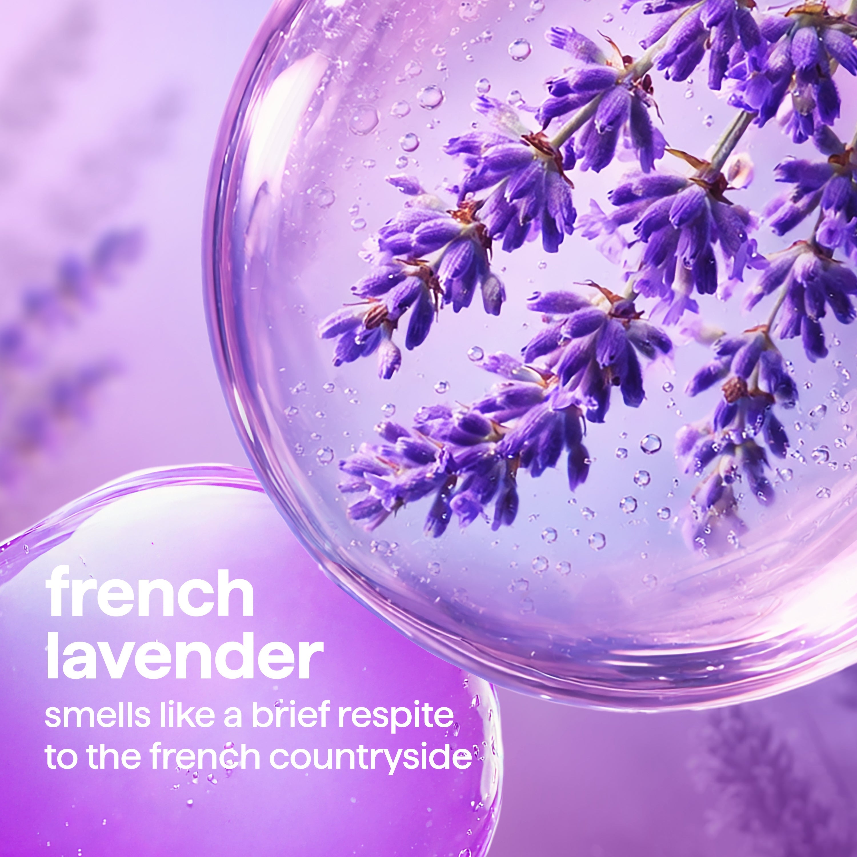 all-purpose cleaner refill - french lavender. 68 fl oz