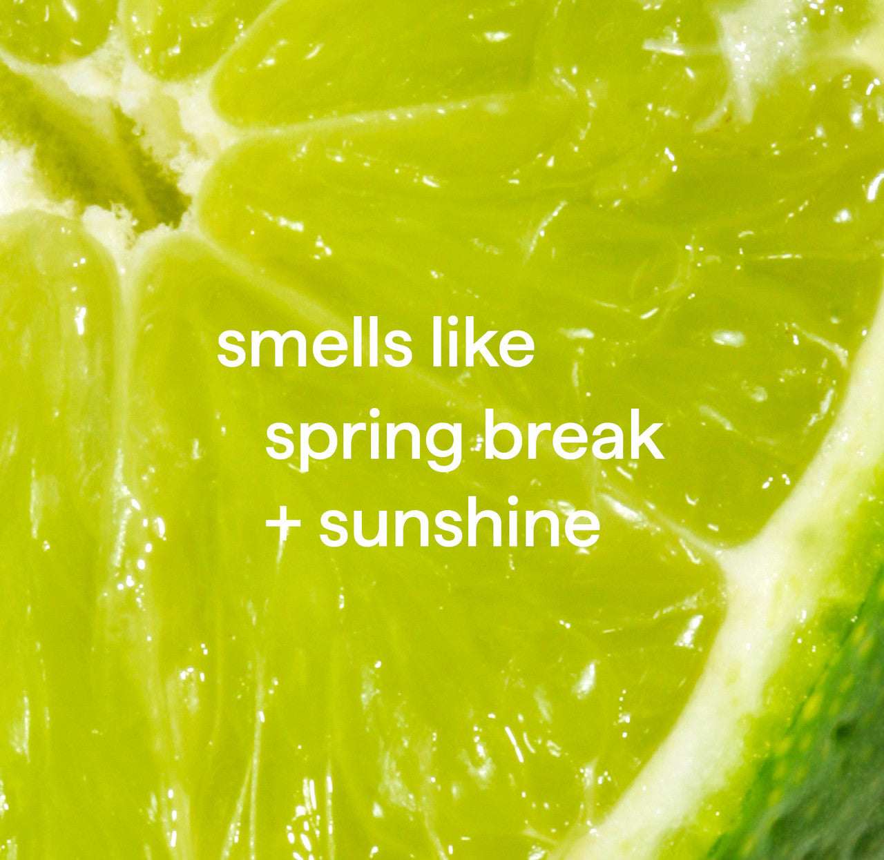 all-purpose cleaning wipes - lime + sea salt. 70 ct
