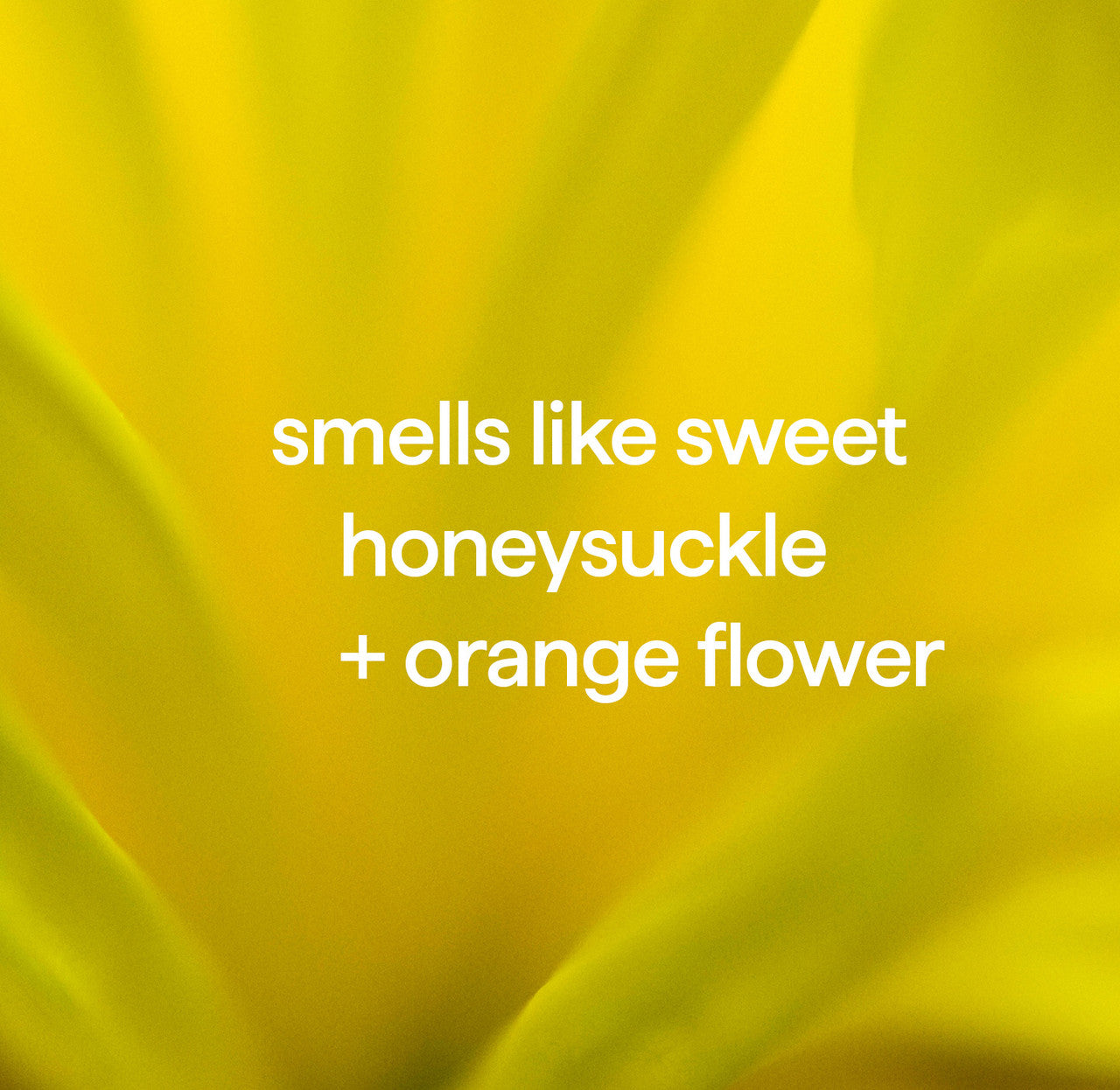 daily shower spray - ylang ylang. 28 fl oz