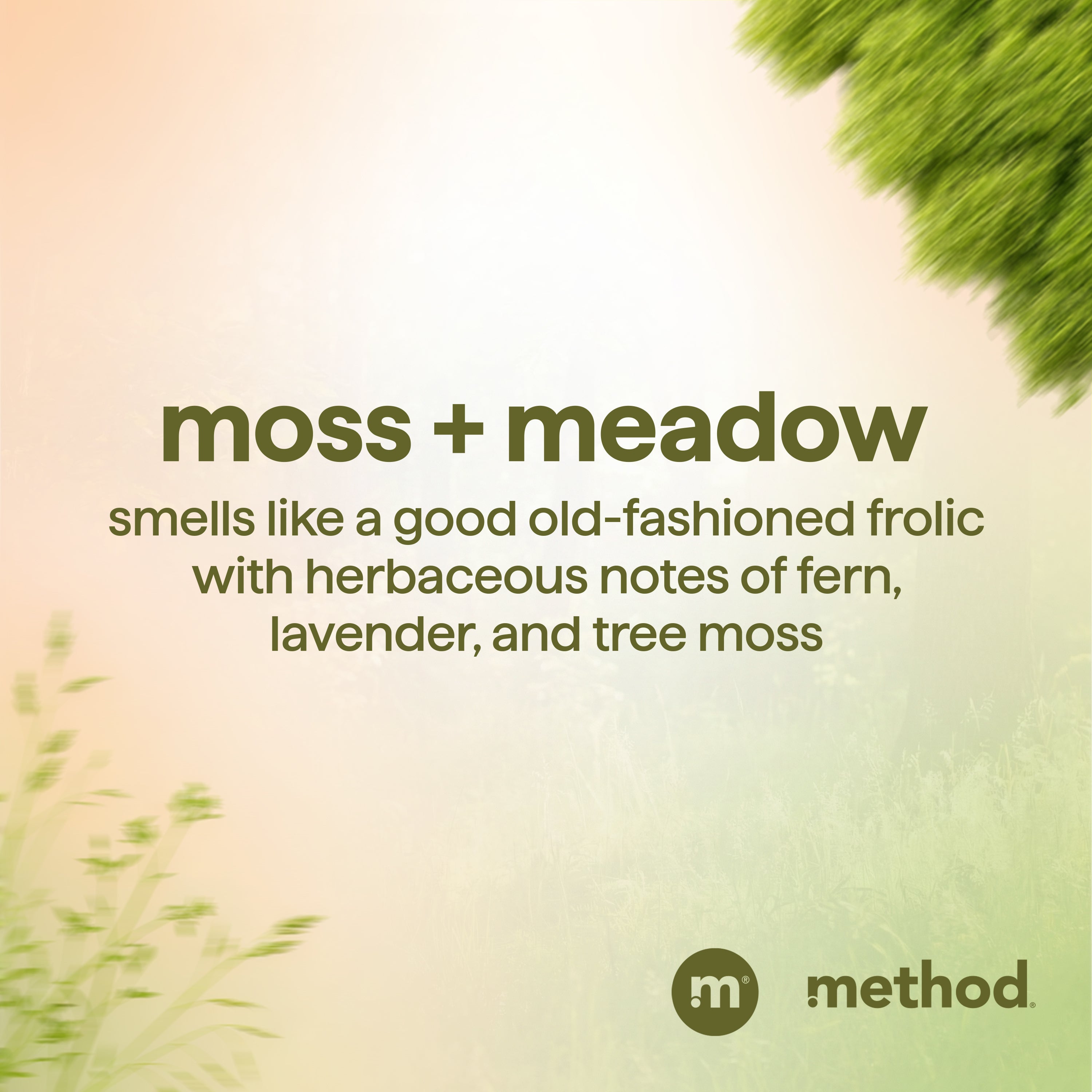 men 2-in-1 shampoo + conditioner - moss + meadow. 14 fl oz