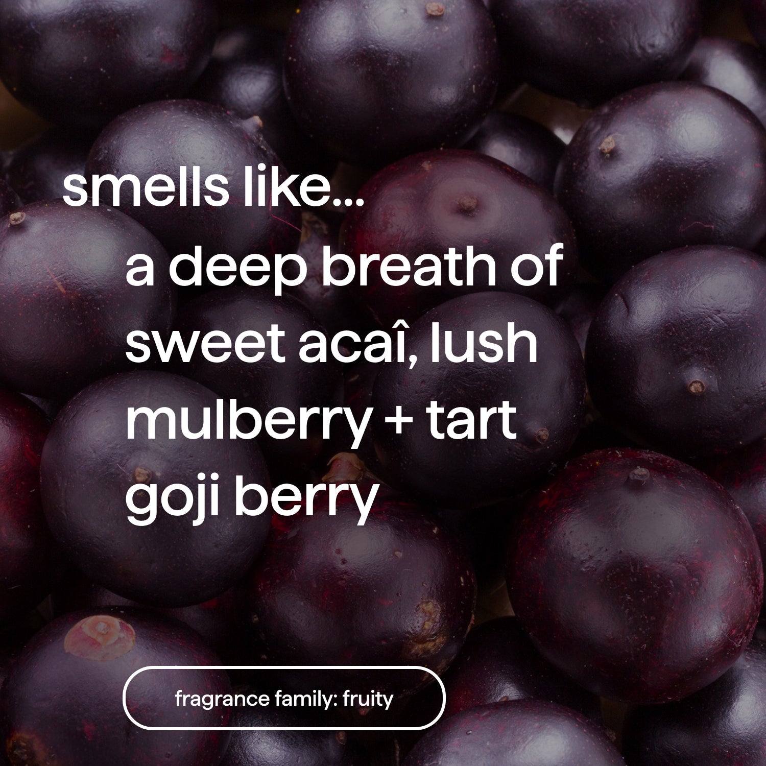 body wash - berry balance. 28 fl oz
