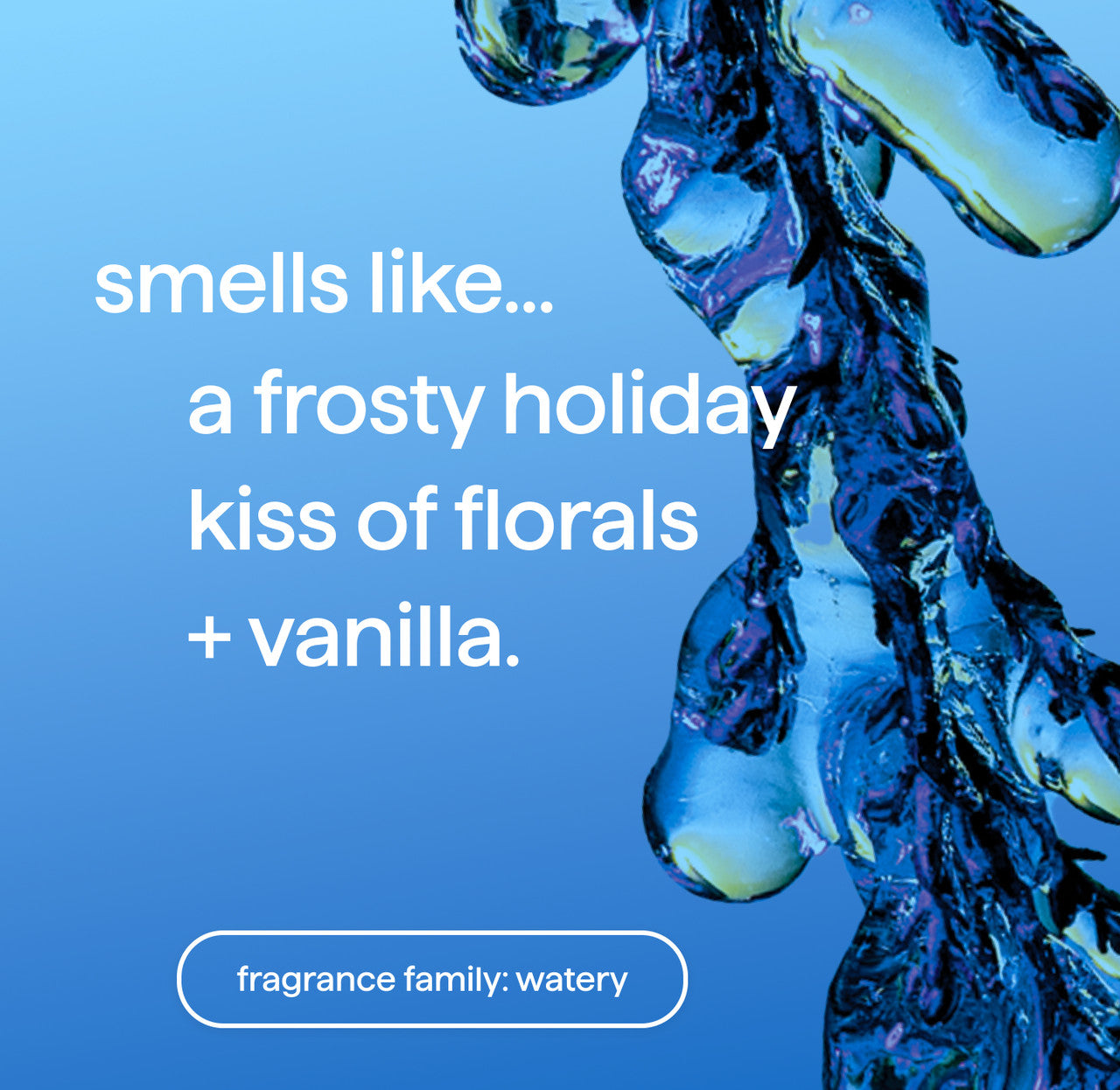 foaming hand wash - frost + flurry. 10 fl oz