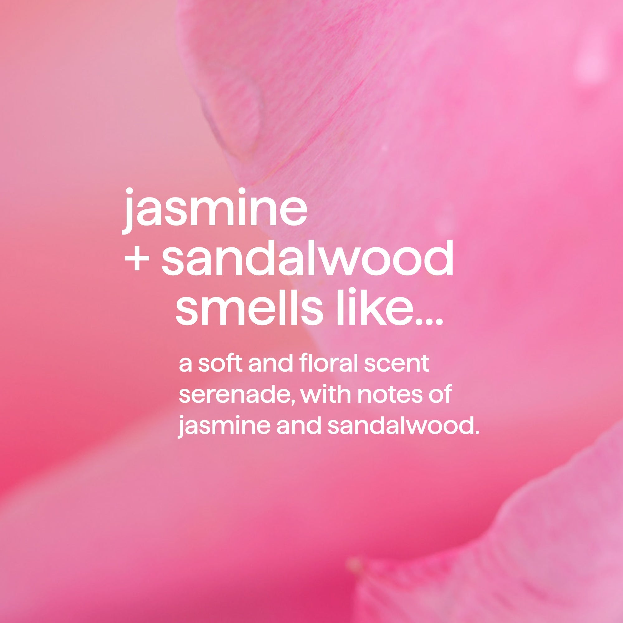 body + hair mist - jasmine + sandalwood. 8 fl oz