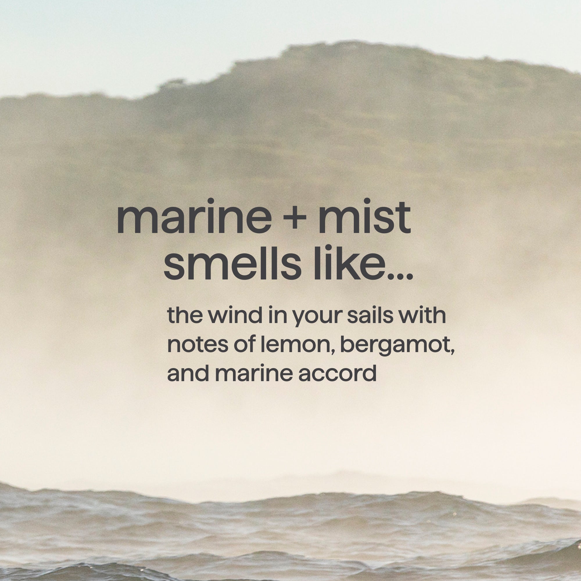 body wash - marine + mist. 18 fl oz