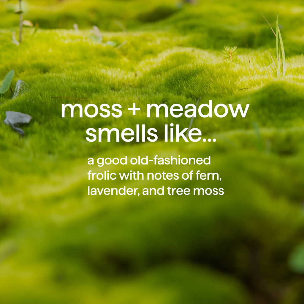 body wash - moss + meadow. 18 fl oz