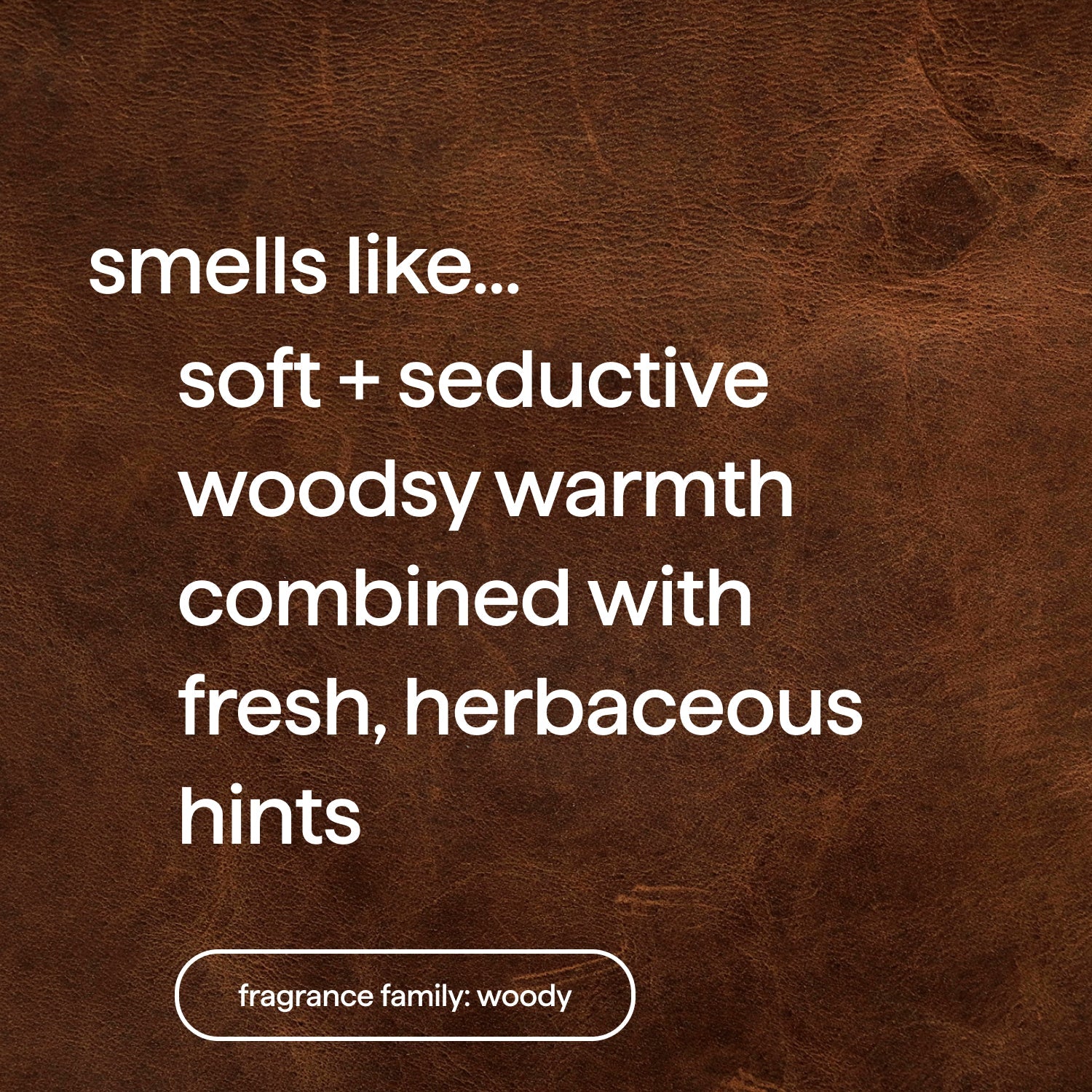 body wash - sandalwood + vetiver. 28 fl oz
